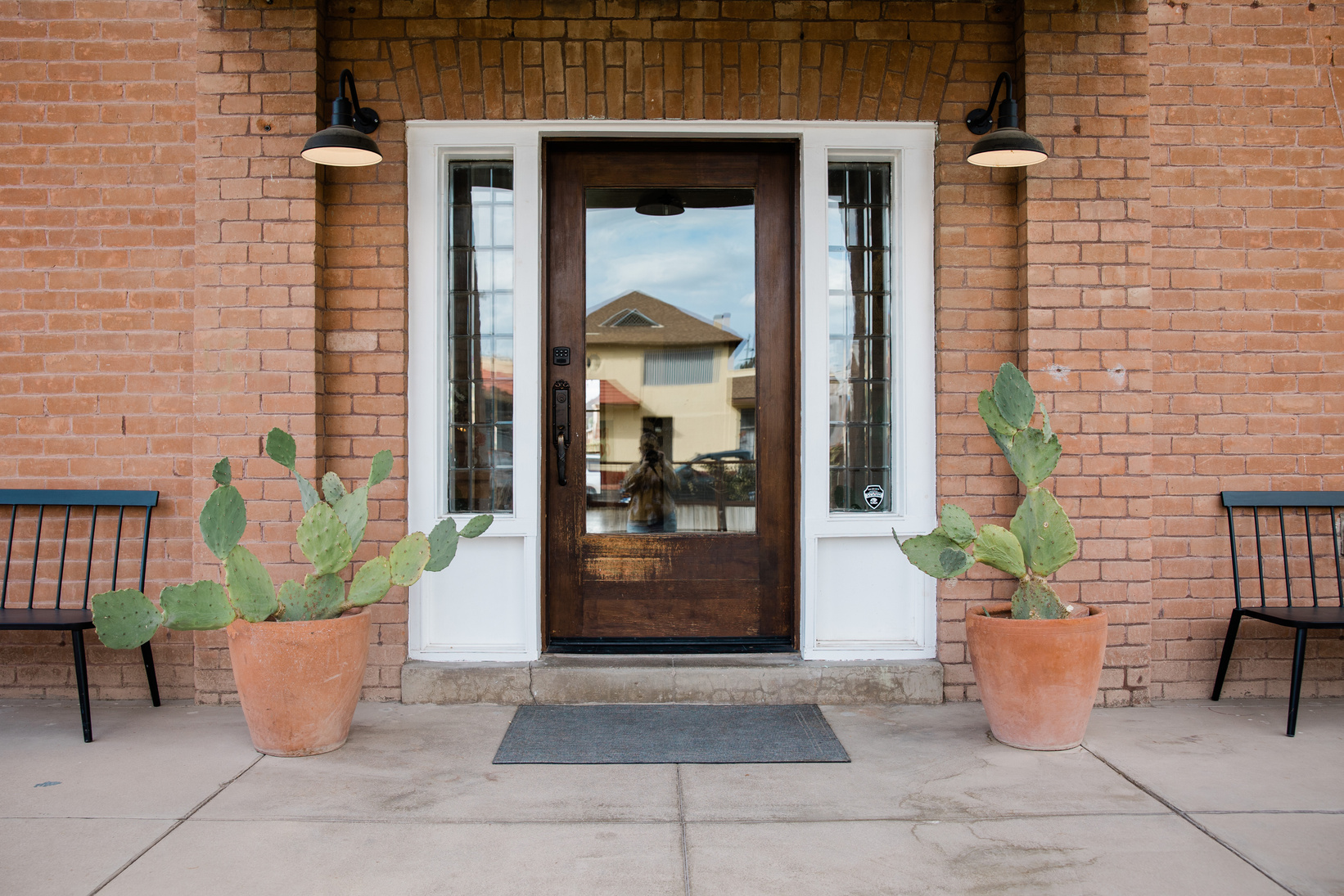 Cactus Plants by the Door of a House
